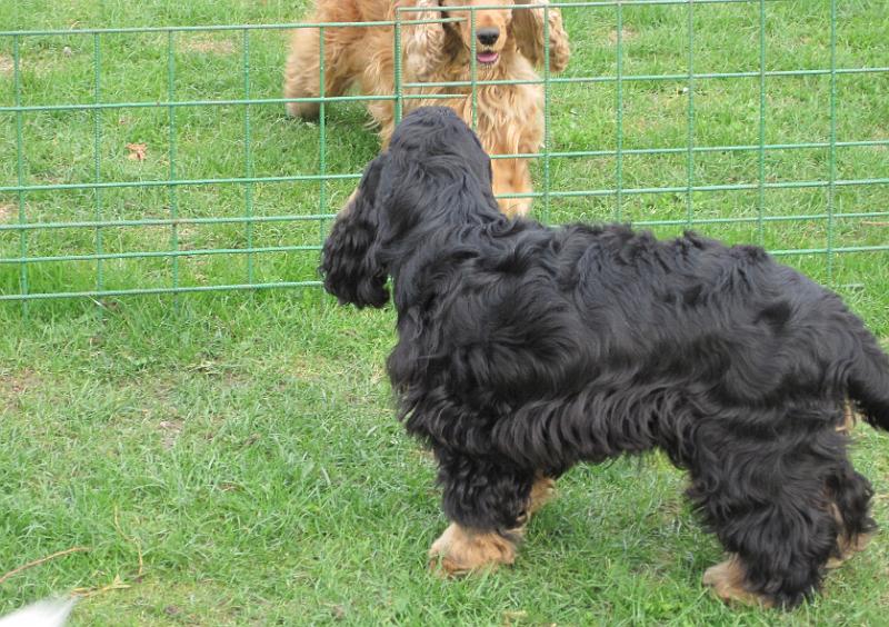 i Arny-10.4.2010.JPG